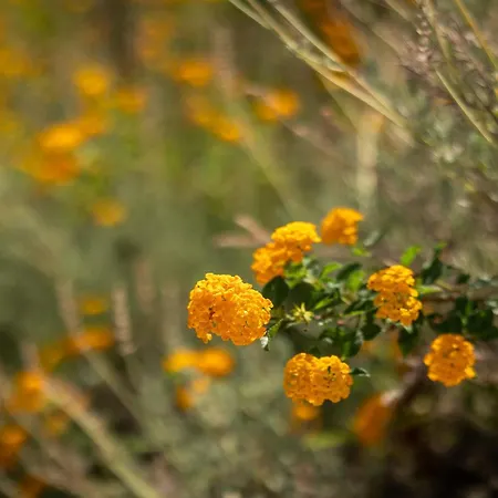 Rabia - Elegant Sea-view Retreat In Mousata, Kefalonia Muszáta